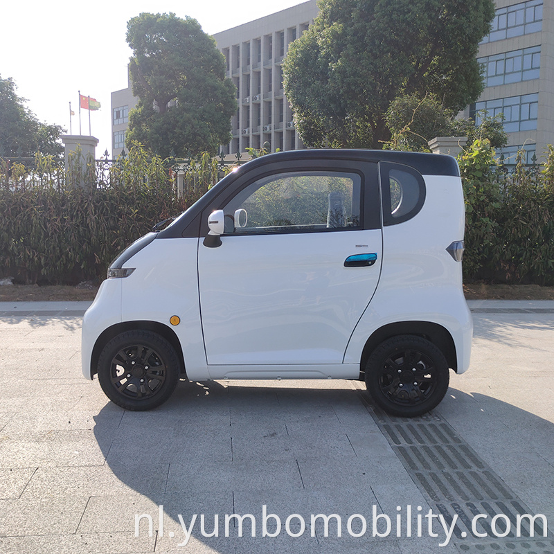 Small Electric Car